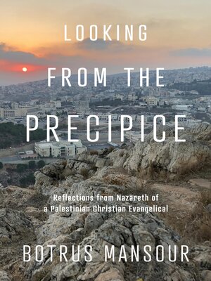 cover image of Looking from the Precipice